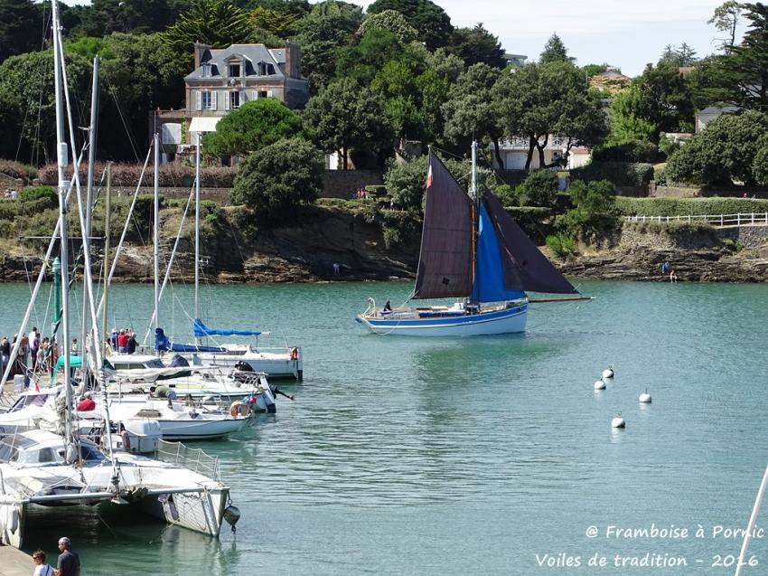Pornic, Voiles de Tradition, 2016