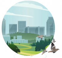 Newcrest