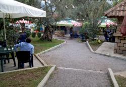 Auberge des Oliviers: sous un arbre installé...