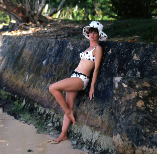 https://media.gettyimages.com/id/1459427866/fr/photo/actress-leslie-caron-poses-for-a-portrait-in-a-polka-dot-bikini-and-hat-while-filming-the.jpg?s=612x612&w=0&k=20&c=e56esTCqfVL7OPng5_FNS-j28CLHT0t_Tw_nDhGirO8=