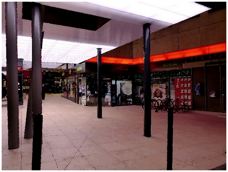 Metz / Glacial 21 janvier 2015...