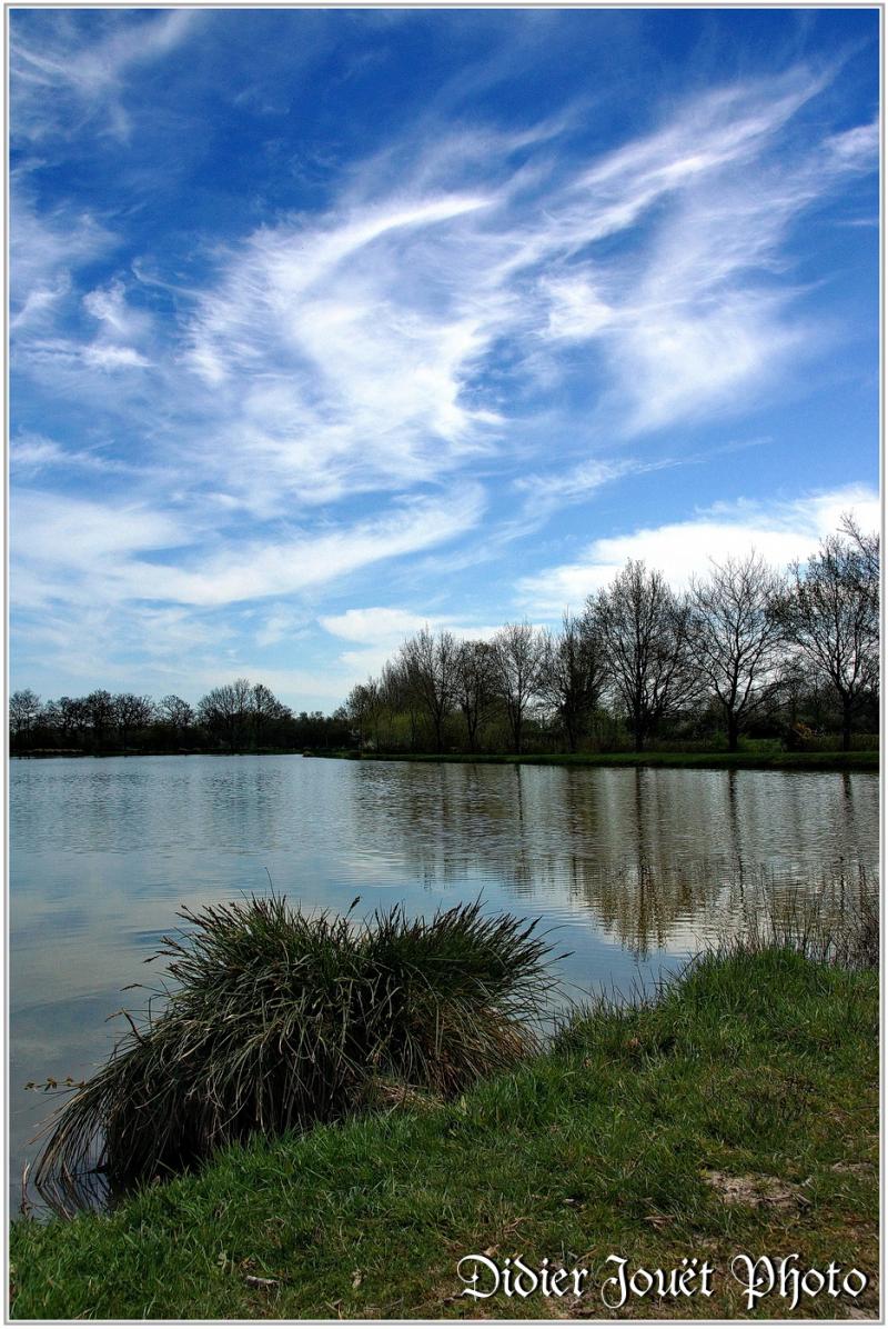 (85) Vendée - La Chaize le Vicomte (19) - Etang communal "Les Filés"