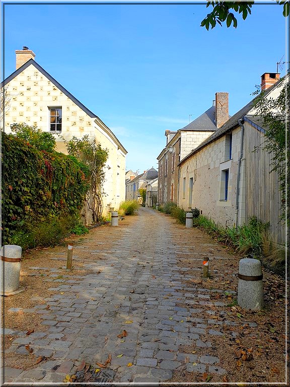 975 - Du Pays de Gâtine à la Loire : l’île de Béhuard