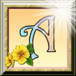 ღ꧁ღ╭⊱ꕥ  Divination ꕥ⊱╮ღ꧂ღ
