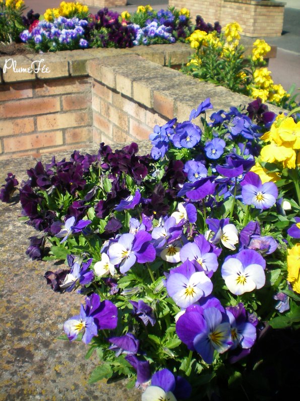 Image004.jpg