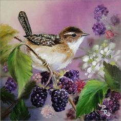 oiseaux en peinture (suite)