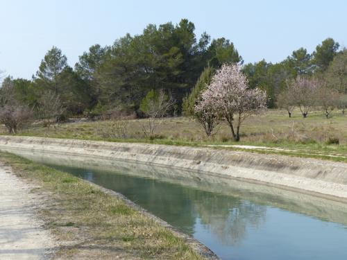 Le canal de Carpentras