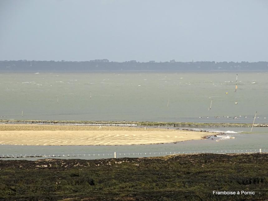 Sentier littoral La Plaine sur mer - 44 - 