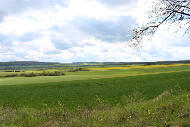 Département de la Côte d'Or