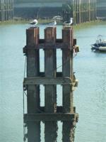 La randonnée du 9 mars à Ouistreham