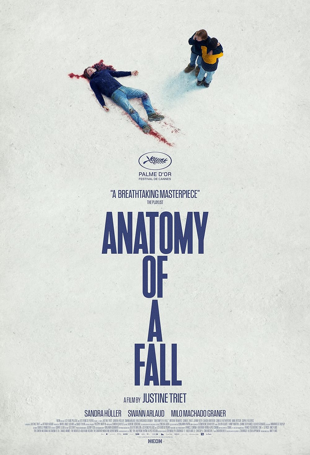 Anatomie d'une chute / Anatomy of a Fall (2023)