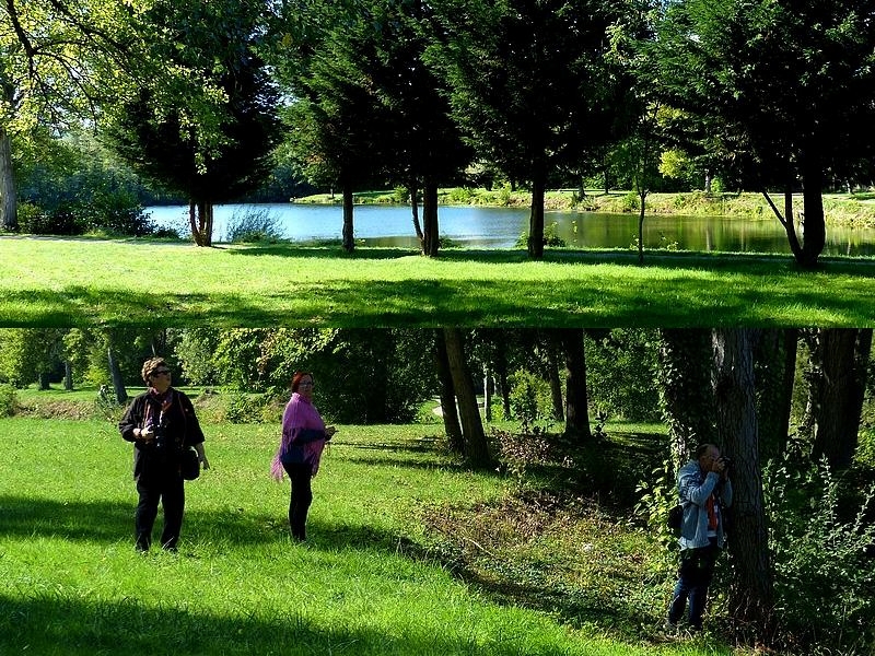 Découvrir la Moselle / Les étangs d'Outre-Moselle...