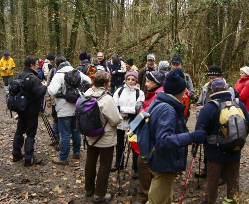 "Domaniale de Mirebeau" 3 décembre