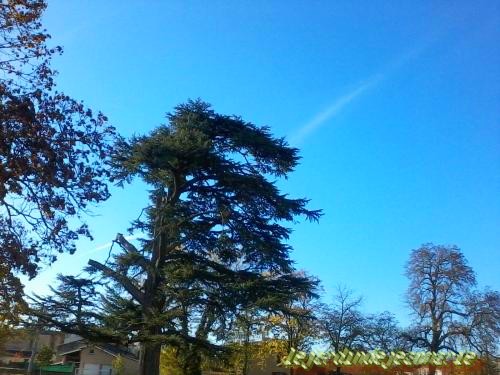 Barsac (Barçac en gascon) est une commune du sud-ouest de la France, située dans le département de la Gironde, en région Aquitaine.  Ses habitants sont appelés les Barsacais