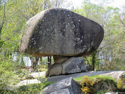 LES ROCHERS CHAMPIGNONS