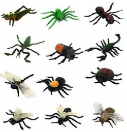 Les animaux - insectes