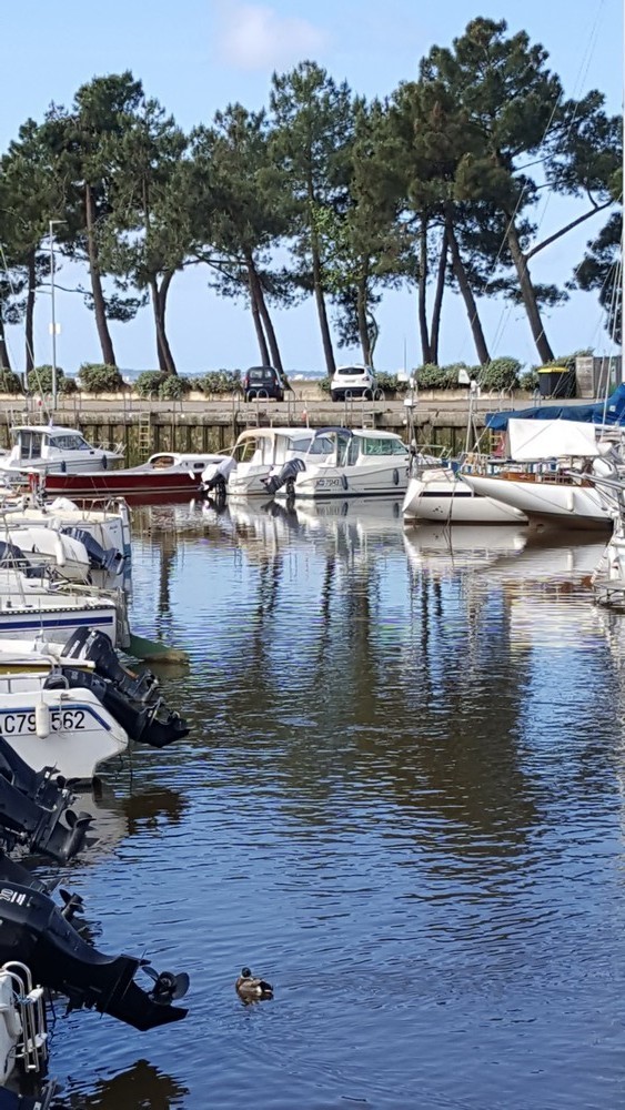Le Salon du Printemps 2019 à Andernos-les Bains...