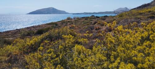 Balades au pluriel !