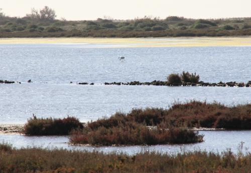 Lundi 27.01 au dimanche 2 février