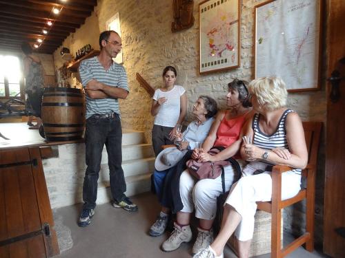 Une belle balade à Chaumont le bois et Vannaire, guidée par Anne Bouhélier