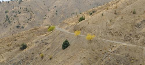 Route vers le lac de VAN...