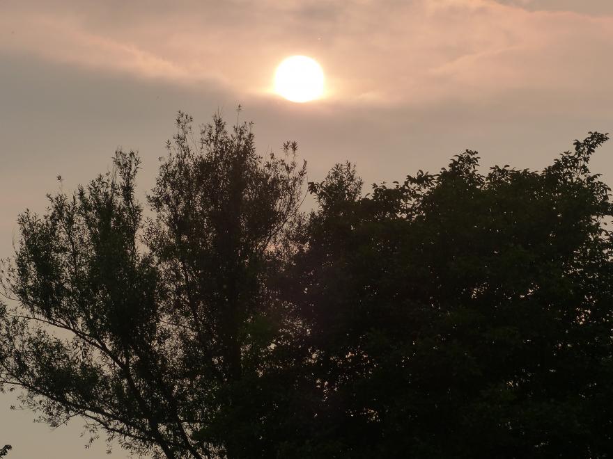 Entre le soleil et la lune mon coeur balance...