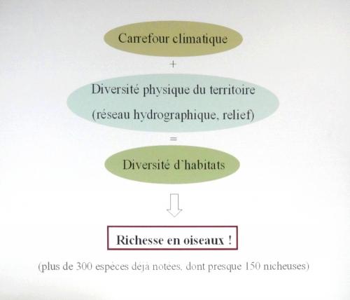 "Portraits d' oiseaux de Côte d'Or",  une conférence de la LPO à Laignes