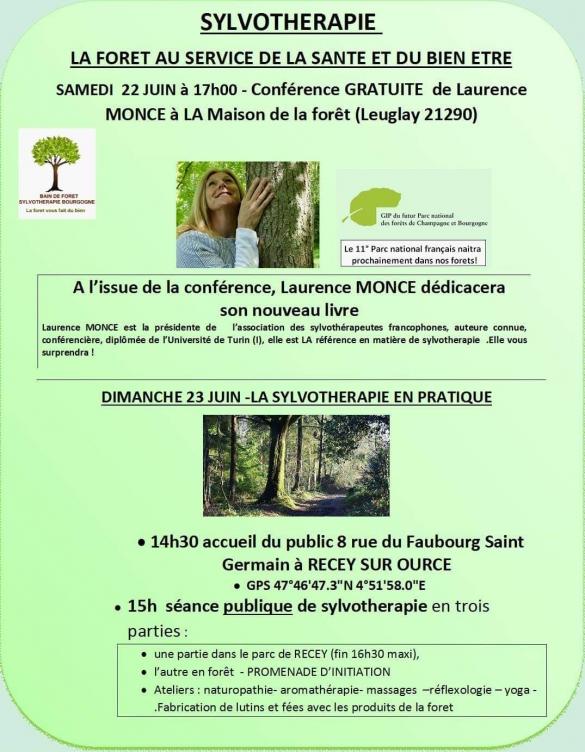 Une journée "Sylvothérapie" à Recey sur Ource