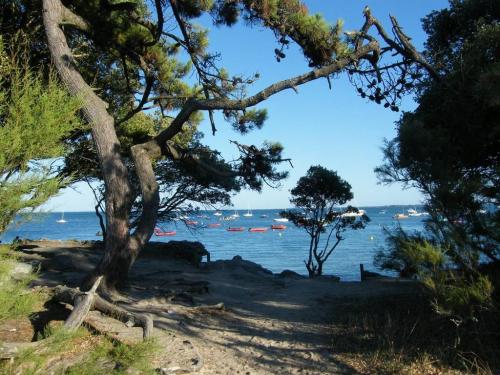 Ile de Noirmoutier  ( Vendée )