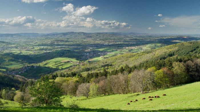 Département du Rhône