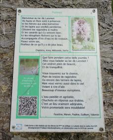 CR / RANDO 15 - RIONS - Lac de Laromet