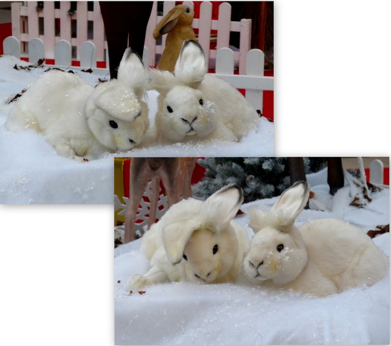 Les Halles du Beffroi