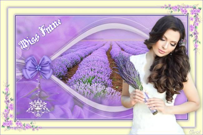Miss Frane