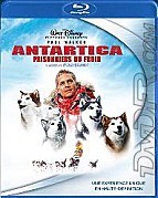 Antartica