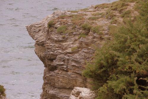 la pointe du Castelli - Piriac sur mer -2