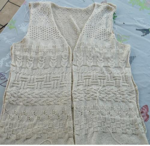 Avancée de mon gilet caraco (5)