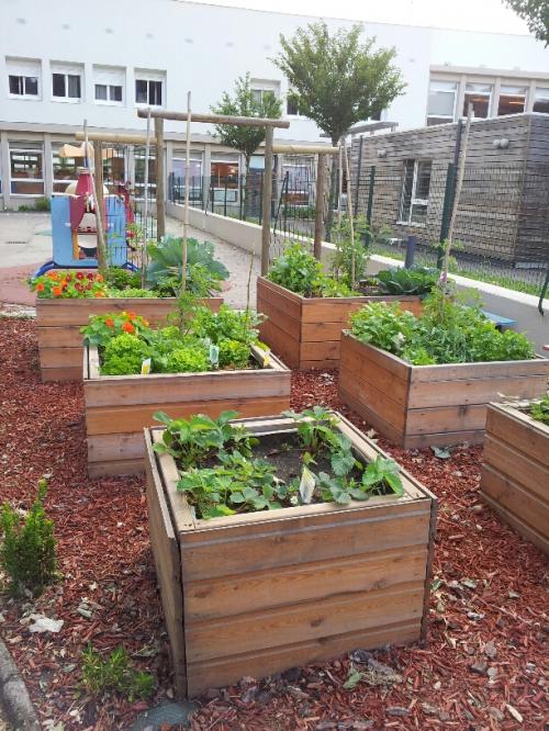 Potager en carré