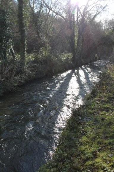 Viaduc de Daoulas (9)
