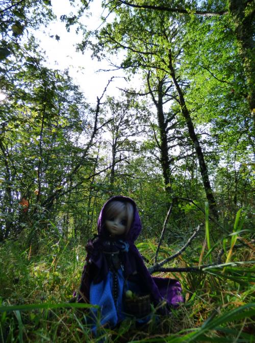 Un automne avec Fauna