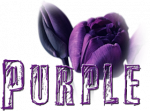 - Purple -