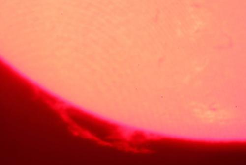 28 juillet 2013 : PST Coronado - détail