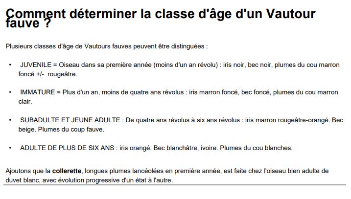 Vautour fauve