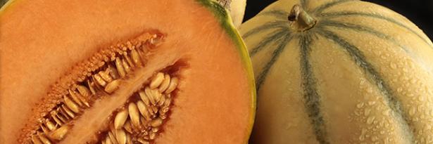 melon charentais, produit français © Shutterstock http://www.shutterstock.com/fr/pic-29910016/stock-photo-charentais-melon-with-half-on-black-background.html