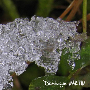 La TERRE nous parle...