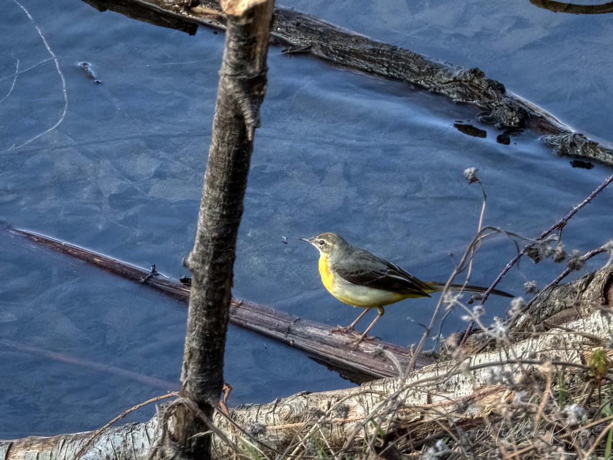 A L'Ecopôle du Val d'Allier dernièrement