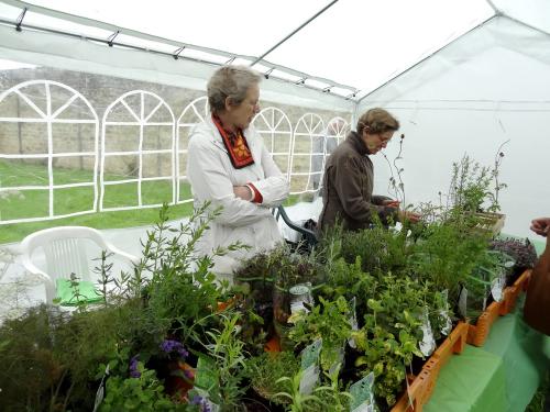 La fête des jardins au château de Montigny sur Aube...