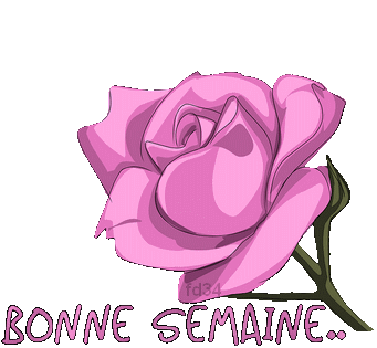 Bonsoir - Bonjour, bonsoir d'Avril - Page 2 XFIg08usnbzsR-8UFqLnxk3j-V0