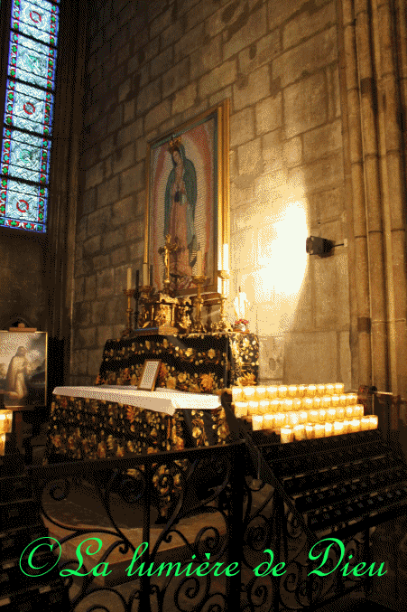La cathédrale Notre-Dame de Paris