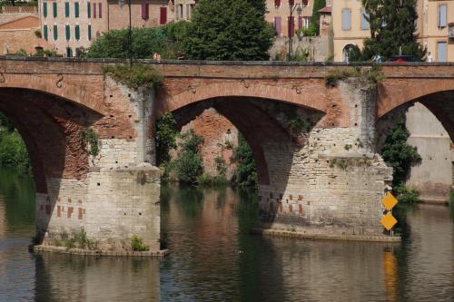 Albi  (Tarn)