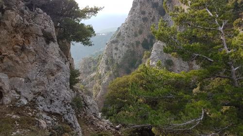 Les gorges de PLATANIA, suite...